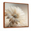 Art sur toile Gerbera blanc III - Gerbera-86828476-86828477