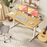 Height Adjustable Electric Standing Desk Ergonomic Work Table for Home Office