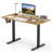 48” x 24” Electric Standing Desk with LED Display 2 Memory Height Settings for Home Natural+Black-2042360887