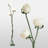 66 In. White Rustic Style 3-light Smart Dimmable Swing Arm Floor Lamp For Living Room With Resin Tulip-shaped Lampshade