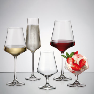 Cettia Coupe 10 fl oz