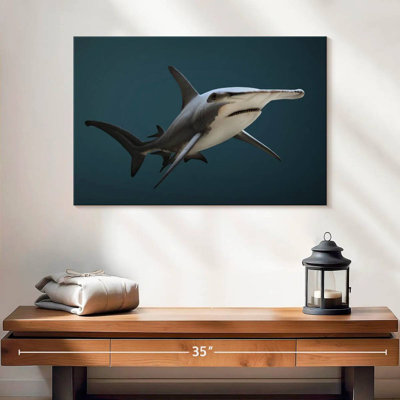 Great Hammerhead Shark