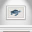 Alyiah «Atlantic Marine Museum Turtle II», reproduction d'art graphique encadrée sur papier en bleu / beige