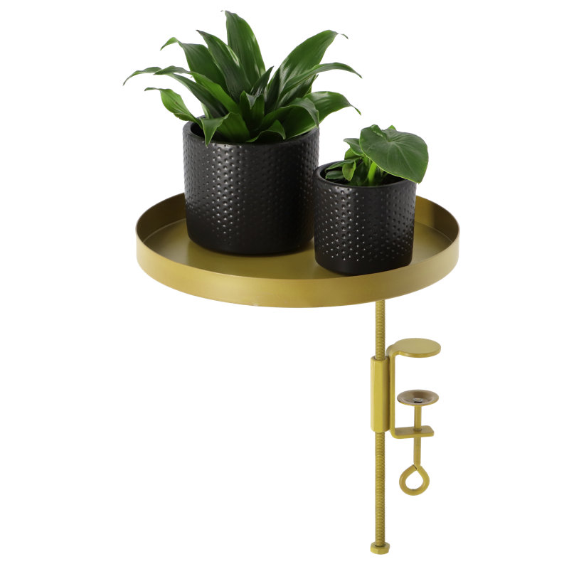 Windowsill Clamp, Gold, 24.6cm H x 24cm W x 24cm D
