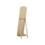 Kirshanpal Flat Floor Mirror with Shelves