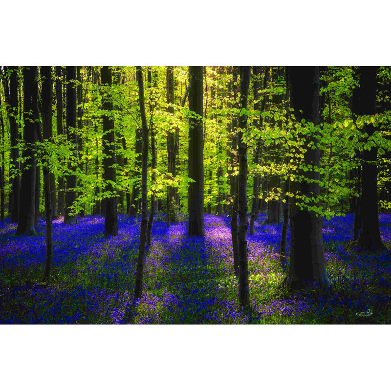 Vert frais et jacinthes des bois, H 8 po x l 12 po, Non, Toile tendue