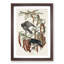 Fish Crows by John James Audubon - Picture Frame Art Print-55609180-55609183