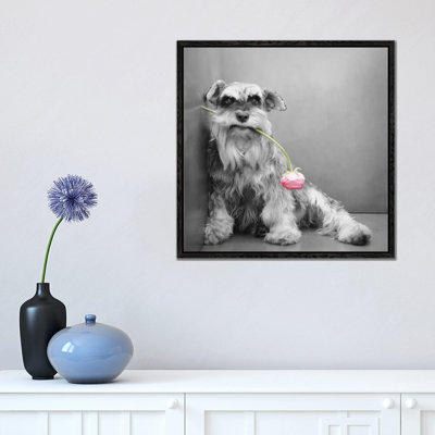 Ziggy 1 Piece Wall Art on Canvas