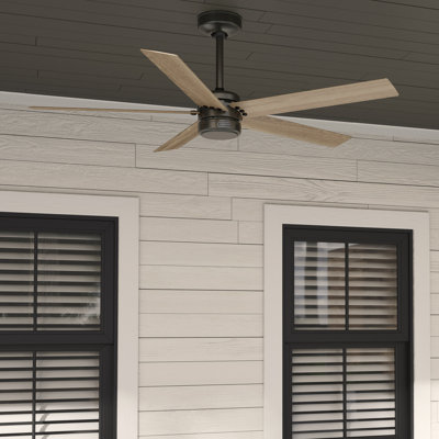 52" Burton 5 - Blade Damp Rated Ceiling Fan And Wall Control
