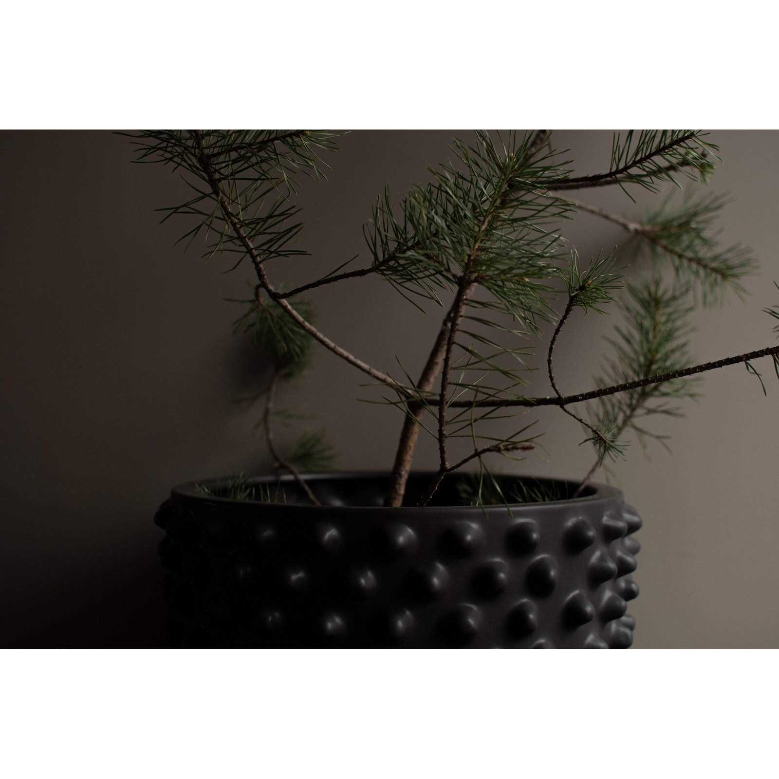 13.78'' Ceramic Table Vase, Black