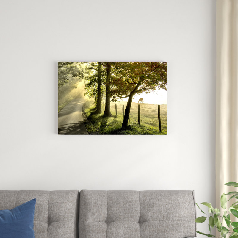 Morning Graze II - impression sur toile tendue, H 20 po x l 30 po x P 1,25 po
