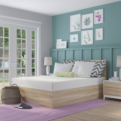 Myles 9'' Medium Memory Foam Mattress