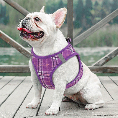 Harnais réglable pour chien avec laisse Gesemyer