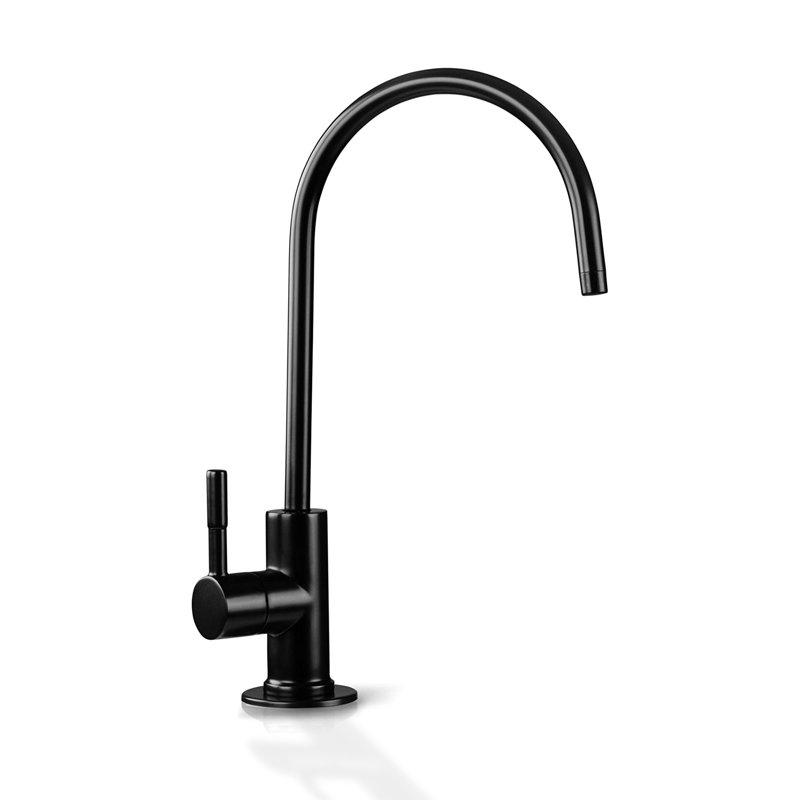 Dyconn Faucet Kitchen Faucet, Matte Black 