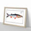 Sea-Pike Fish by M.E. Bloch - Picture Frame Painting Print-55613797-55613802