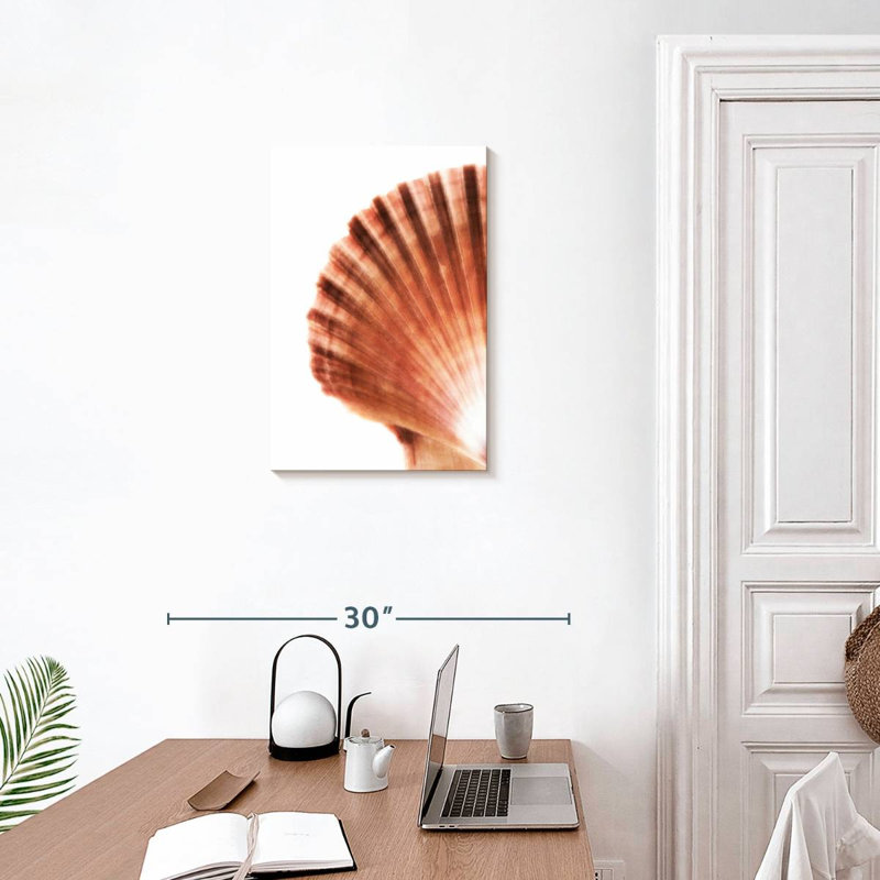 Scallop seashell ii Aletra, H 24 po x l 16 po