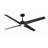 Zeveren 56'' Ceiling Fan with LED Lights-88597314