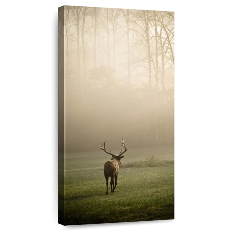Suivez le wapiti, H 36 po x l 18 po