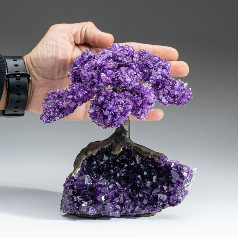 Large Amethyst Clustered Gemstone Tree on Amethyst Matrix (The Protection Tree)
