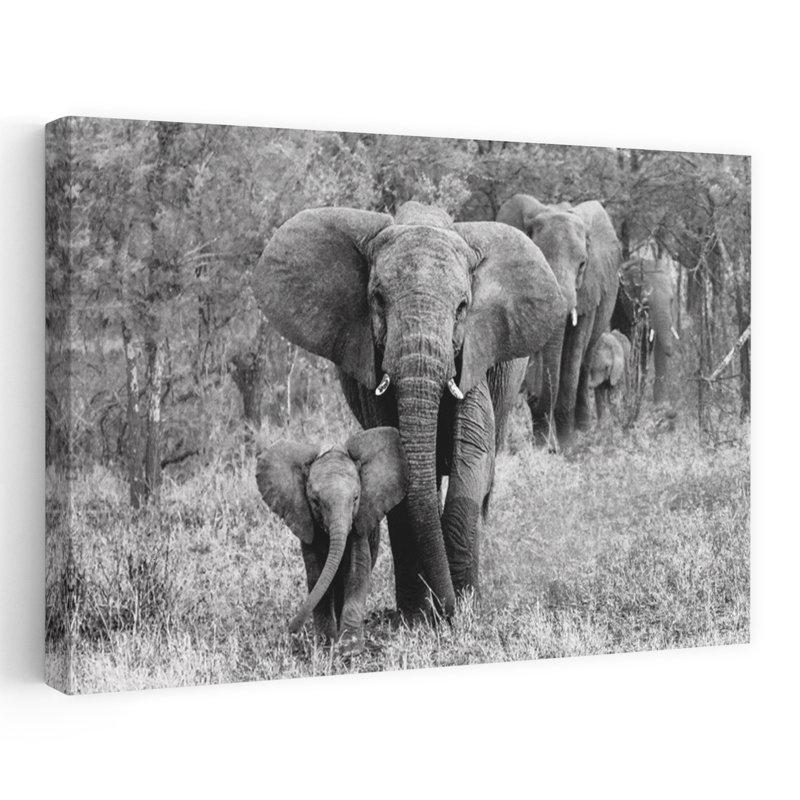 Art contemporain, paysage abstrait, forêt d'éléphants, paysage, H 16 po x l 24 po
