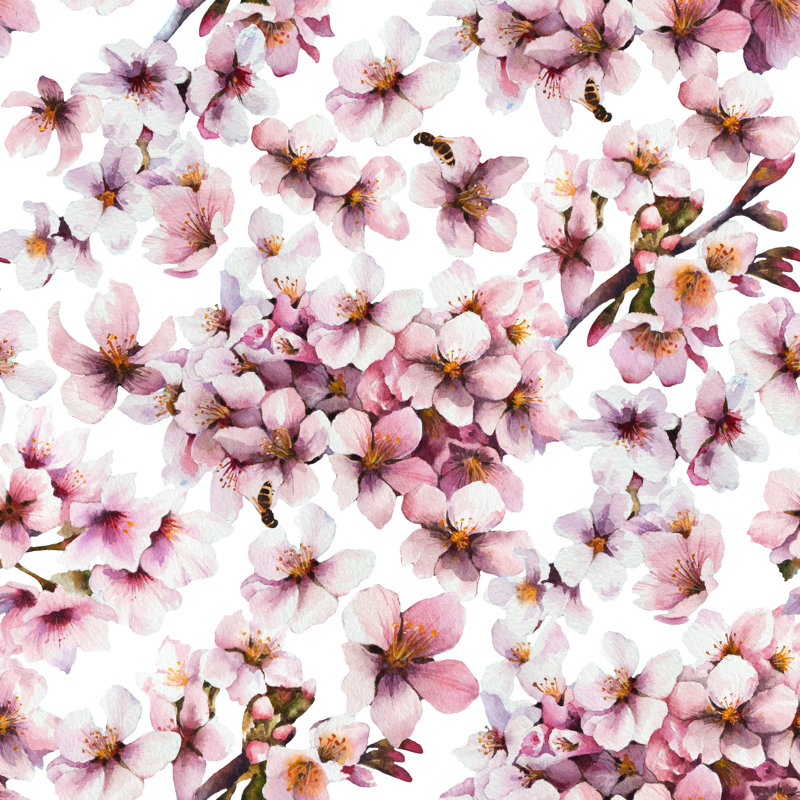 Revloc Watercolour Cherry Blossoms - Wrapped Canvas Painting, 30cm H x 30cm W x 3.8cm D