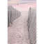 «Dovecove Deiter, Lori Gallery», art sur toile tendue: Pink Beach Sunrise