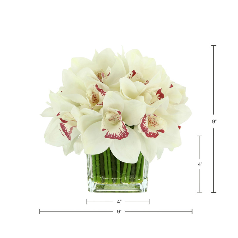 Orchid in Flat Glass Vase, White