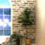 Photos des clients 1 de 3