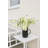 over&back Coupe Stoneware Pitcher-101308996