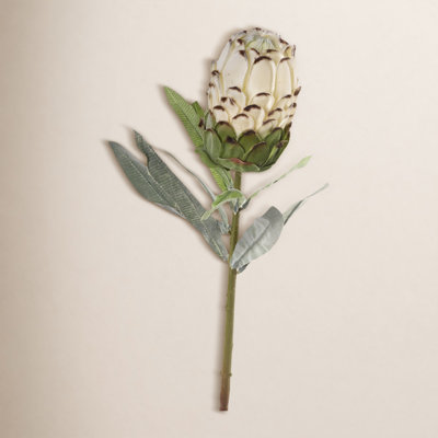 Protea Floral Stems