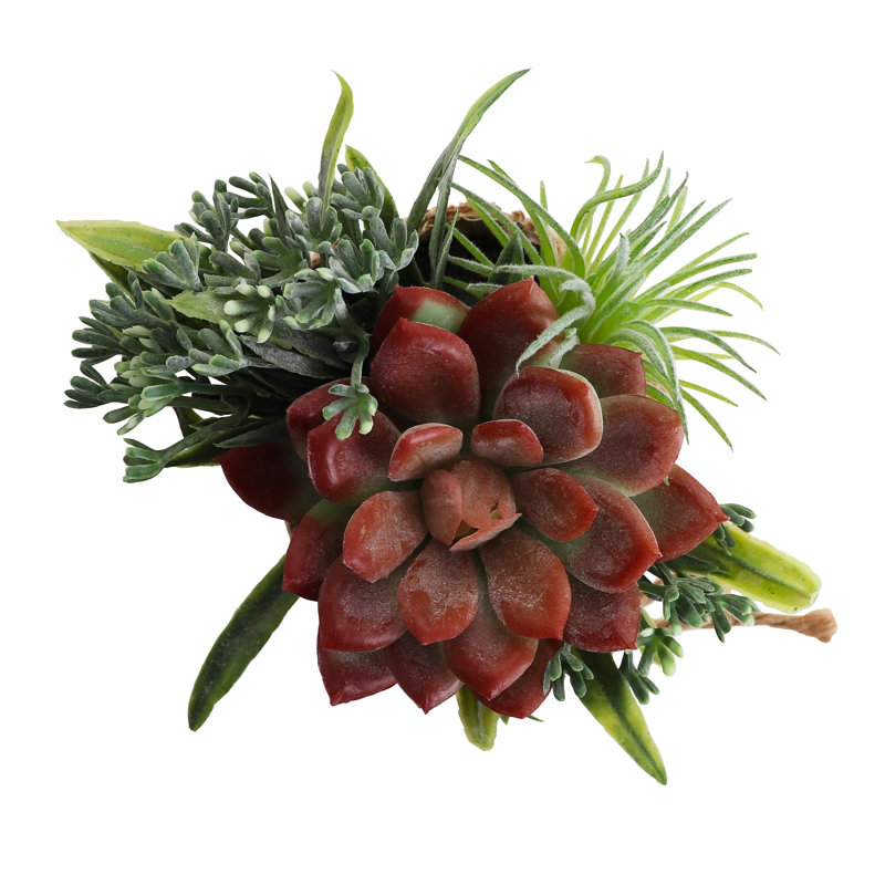 Plante grasse artificielle 7 po en pot