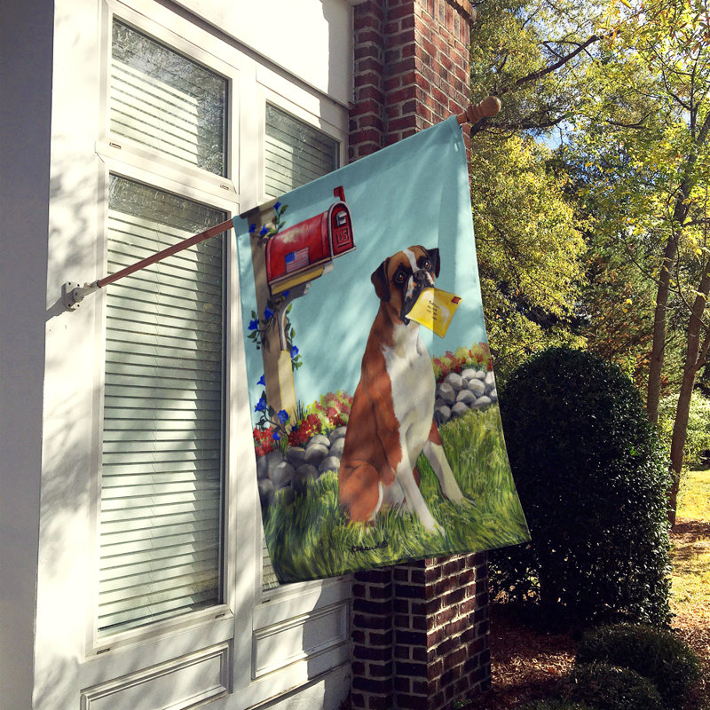 Drapeau de maison Hvidovre Sheltie Halloween en polyester à 2 faces 3 x 2 pi, Boxer « Got Mail »