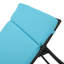 Ensemble de chaises longues inclinables 79,25 po avec coussin-1908472302-1959038902-1959038896