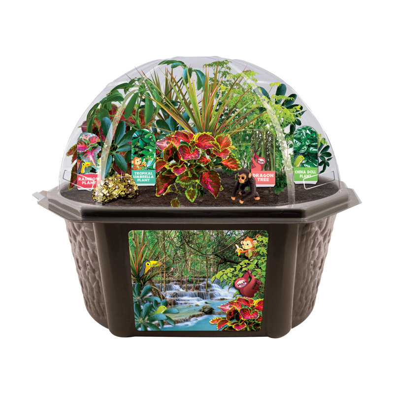 Biarium Terrarium - jungle tropicale