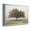 «Trees In The Fog II», reproduction encadrée de qualité supérieure - prête à être accrochée-276530695-276530696-276558443