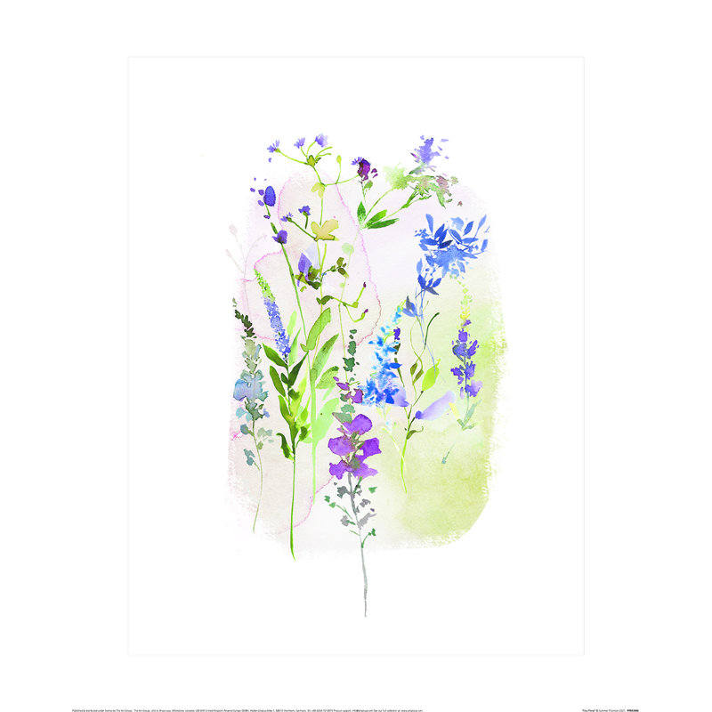 Tiny Floral by Summer Thornton - No Frame Painting, 50cm H x 40cm W x 0.1cm D