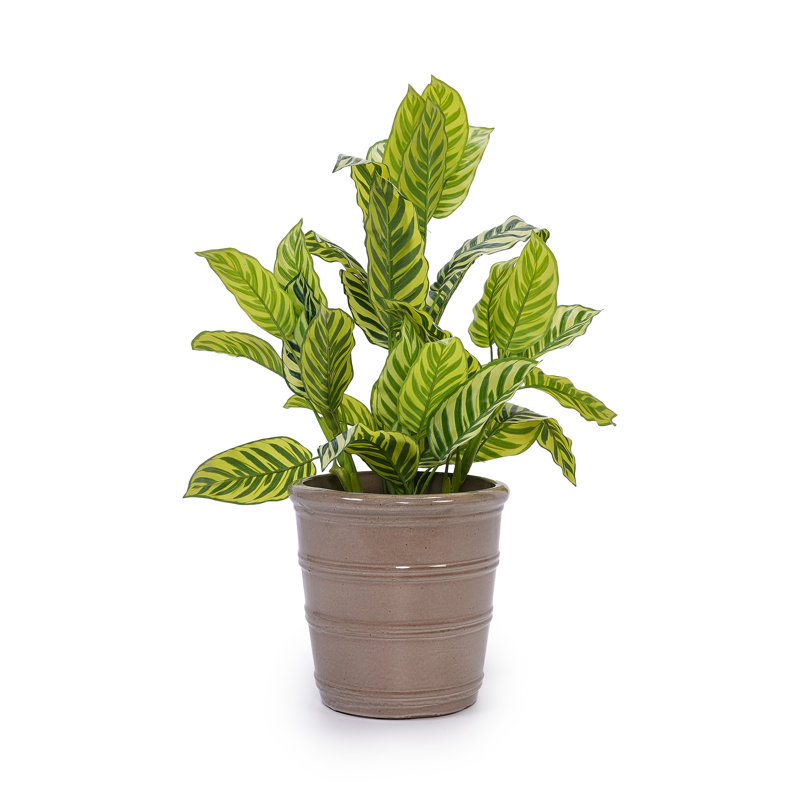 Ceramic Flowerpot, Antique Yellow