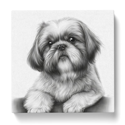 Shih Tzu - No Frame Print