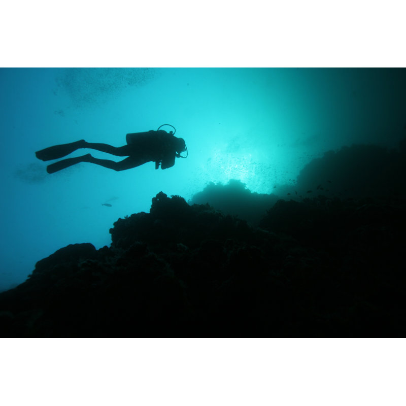 Silhouette d'un plongeur sous l'eau par Cdascher, H 24 po x l 36 po