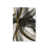 Does Not Apply sélectionné