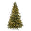 Carolina Lighted Artificial Fir Christmas Tree-431844498