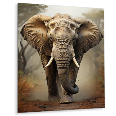 " African Elephant Race Elegance II "