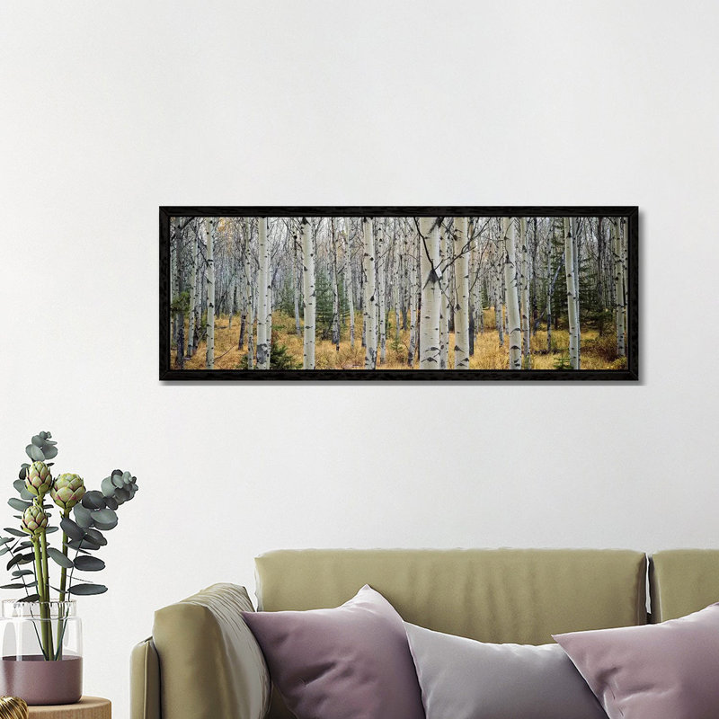 Aspen Trees In A Forest Alberta, Canada by Panoramic Images - Wrapped Canvas Panoramic Print, Black Floater Framed
