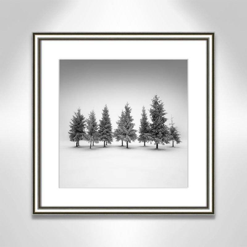 Impression d'épinette par Daniel, L 18,25 po x H 18,25 po, Imprimé mat, Argent classique