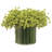 B.BREATH/GRASS(P)