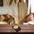 Jelisavka Wood Square 1 Piece Coaster