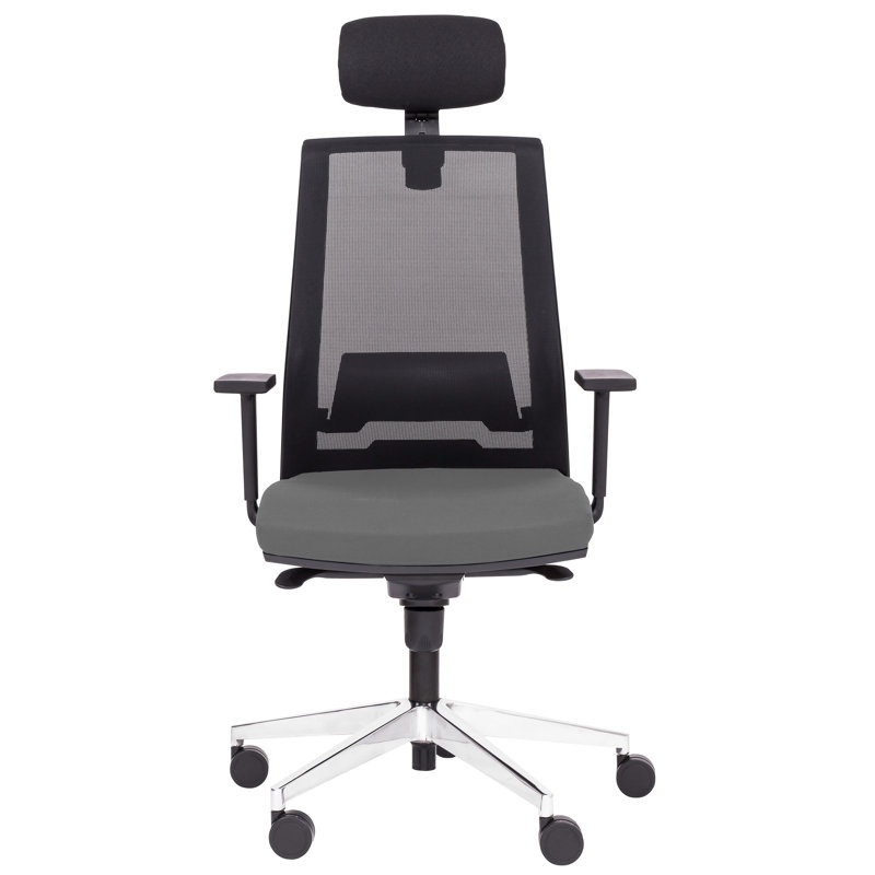 Office Chair with Headrest, Grey, Adjustable Armrests