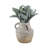 Decorative Pottery Terracotta Vase With Rustic Textured Design And Double Handles, Stylish Contemporary Accent For Modern Spaces