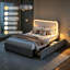 Structure de lit double à DEL avec 2 tiroirs de rangement, lit plateforme tapissier ondulé, aucun sommier tapissier, tissu en velours et panneau de fibres à densité moyenne, noir et blanc-128967663-128967665
