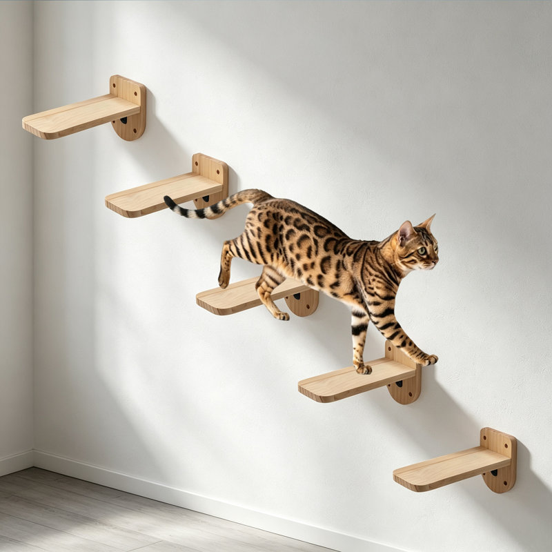 Ensemble de 5 plateformes flottantes murales pour chat
